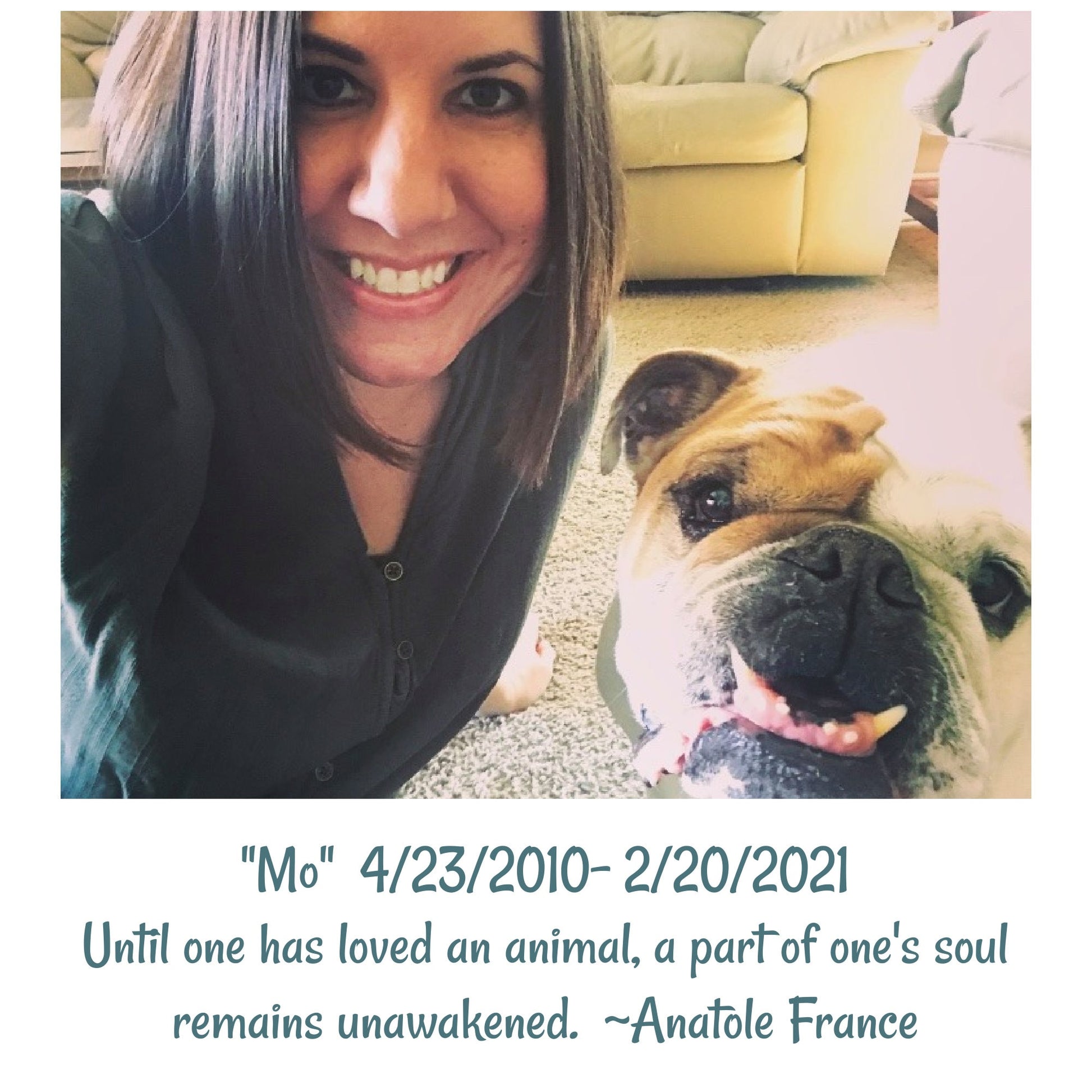 Rainbow Hand Dyed Vegan Yarn Kit - Pastels - "Mo's Rainbow" - 10 Color DK / Light Worsted Bamboo Cotton Mini Skein Set - 53 yds per skein