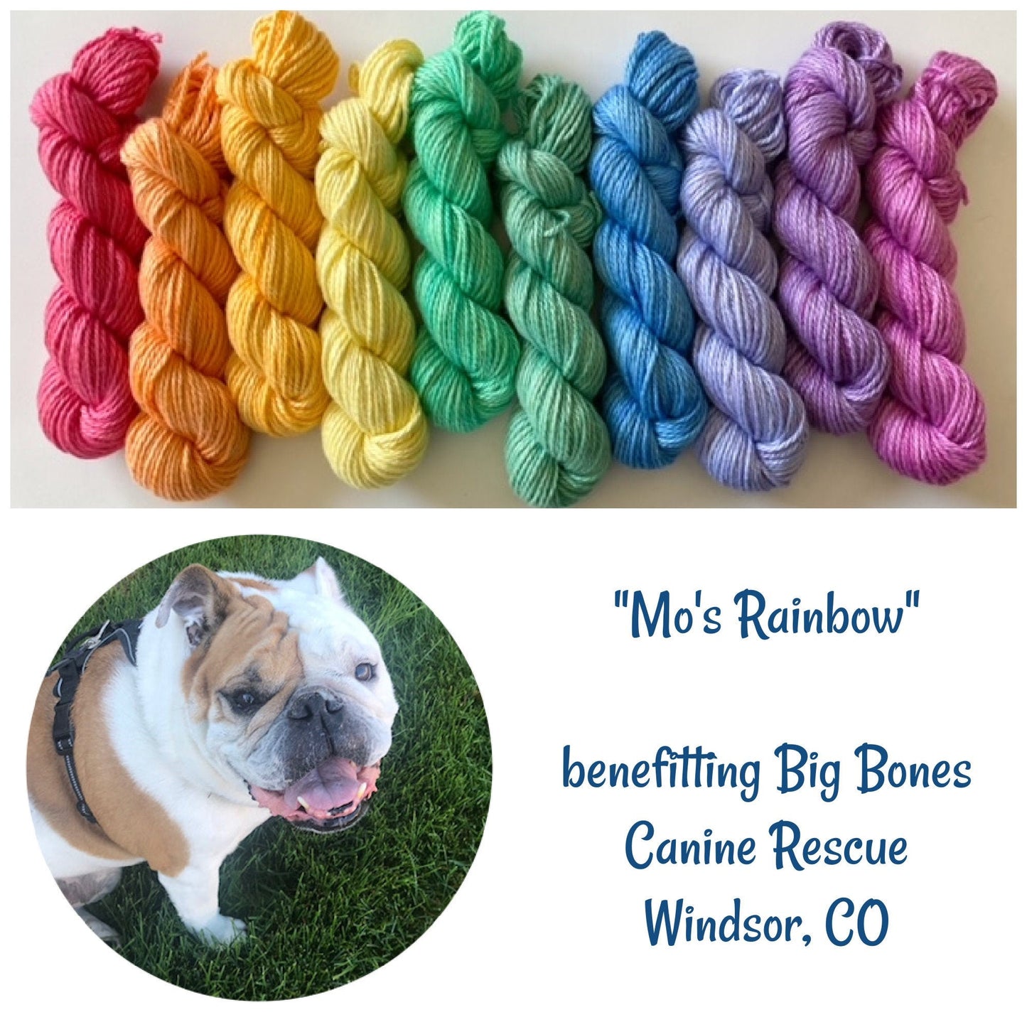 Rainbow Hand Dyed Vegan Yarn Kit - Pastels - "Mo's Rainbow" - 10 Color DK / Light Worsted Bamboo Cotton Mini Skein Set - 53 yds per skein